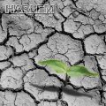 Harlem - Przebudzenie
