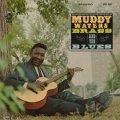 Muddy Waters - Brass And The Blues